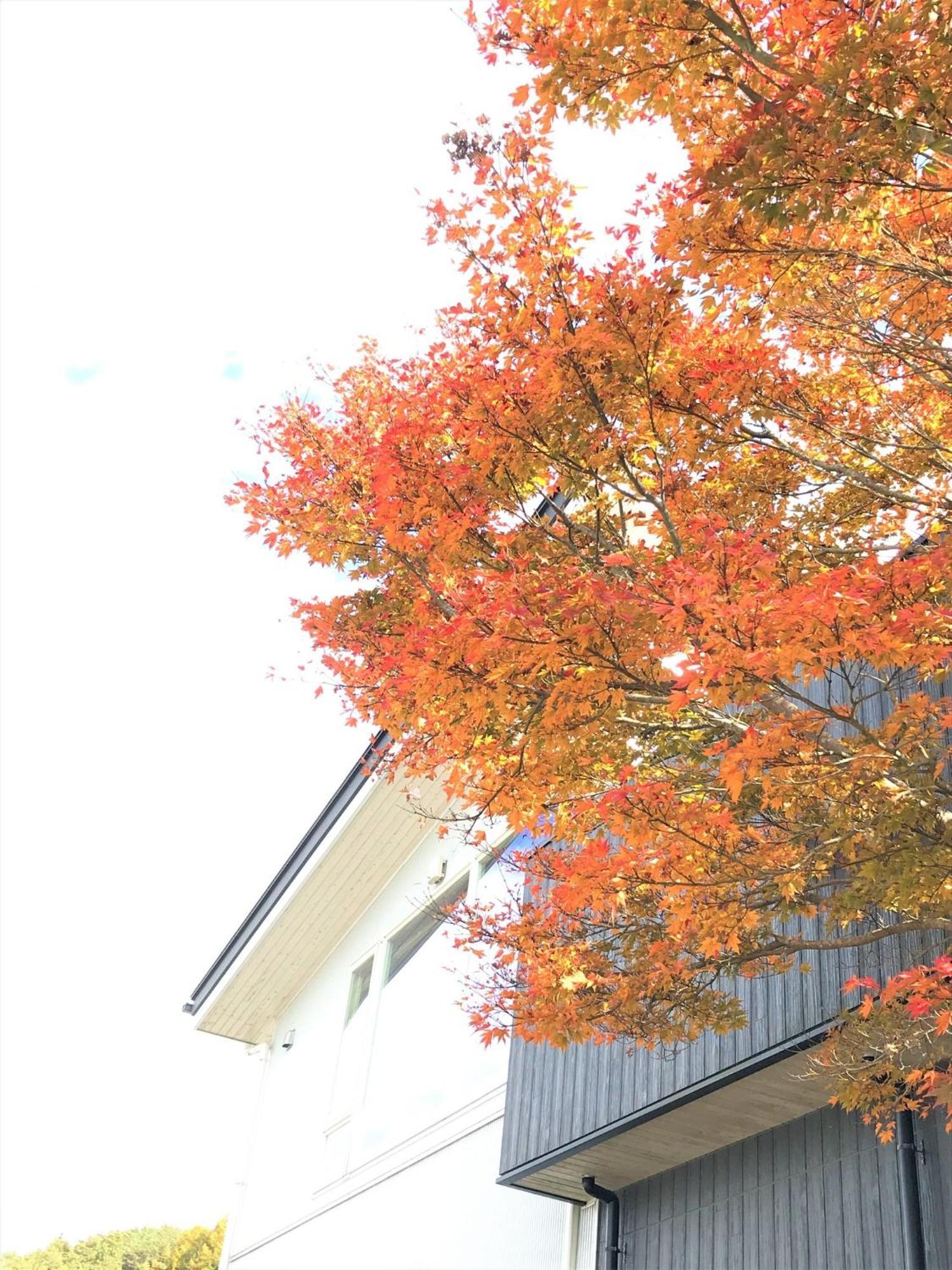 Sweet Villa Takasama - Vacation Stay 11775 Fujiyoshida Bagian luar foto